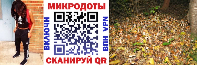shop Telegram  Черногорск  blacksprut зеркало  Псилоцибиновые грибы мухоморы  где купить  