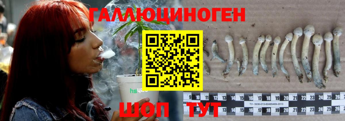 Псилоцибиновые грибы MAGIC MUSHROOMS Черногорск